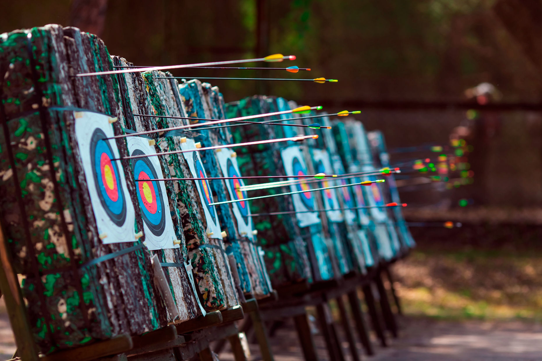 Легенды Шервудского леса